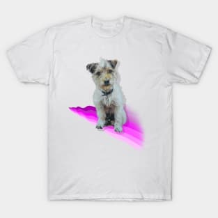 Scruffy Jack Russell Terrier on a rainbow wave! T-Shirt